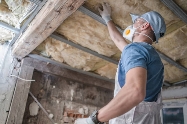 Trusted Pisgah, AL Insulation Contractor Experts