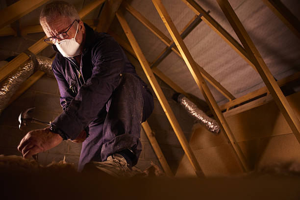 Types of Insulation We Offer in Pisgah, AL